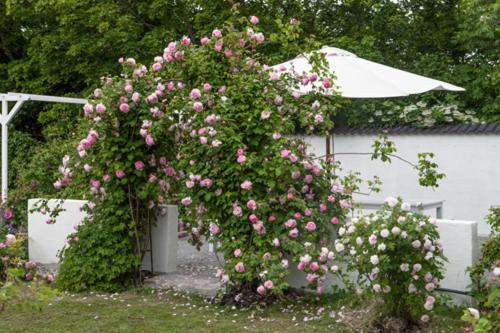 Vallby Cottage Enköping Extérieur photo